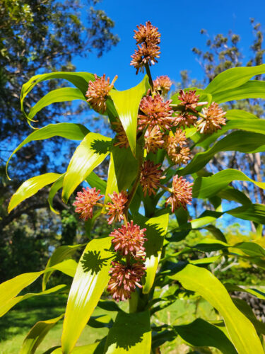 Send your best photos from Maui County to mauiphotos@mauinews.com for a chance to see them featured on our website and in our weekly print edition.
